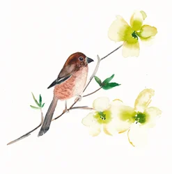 Watercolor Bird Flowers