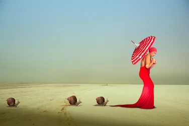 Elegant Red Journey