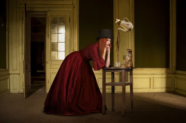 Elegant Woman Meerkat Tea