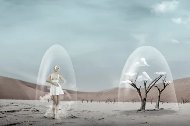 Fragile Desert Dream