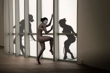 Masked Dancer Shadows