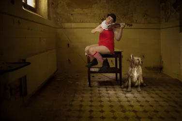 Quirky Room Serenade