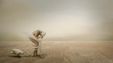 Swan Dancer Solitude