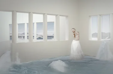 Woman in Arctic Room