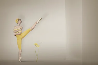 Yellow Ballerina Grace