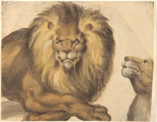 The Forepart of a Male Lion and the Head of a Female Lion