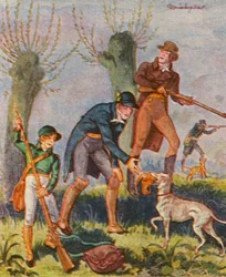 Snipe Hunt