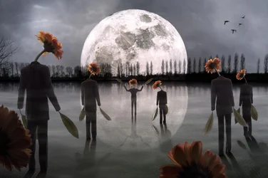 Moonlit Flower Head Figures