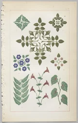 The art of decorative design: with an appendix, giving the hours of the day at which flowers open, published by Day & Son, London, 1862