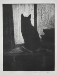 The Cat
