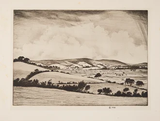 A Valley in the South Downs