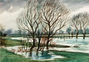 Willows, about 1927