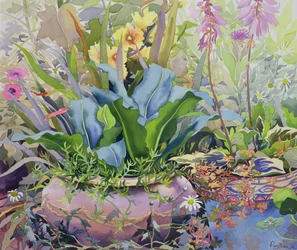 Garden with Plants, 2000
