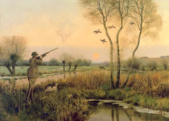 Duck Shooting