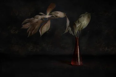 Dark Botanical Still Life