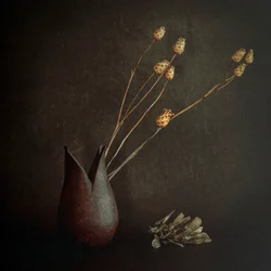 Dark Rustic Botanicals