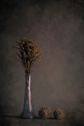 Dried Botanical Still Life