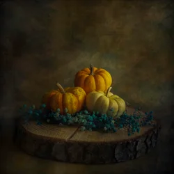 Moody Harvest Pumpkins