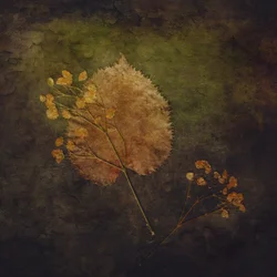 Rustic Autumn Botanicals