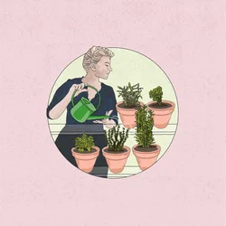 Herb gardening, 2024