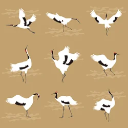 Oriental Cranes