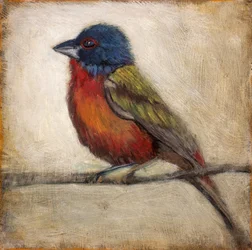 Colorful Painted Bunting