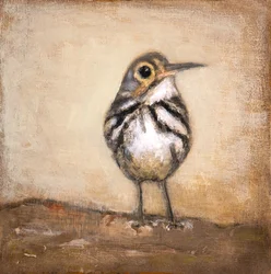 Curious Little Bird