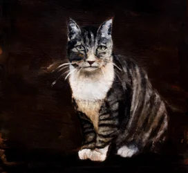 Elegant Tabby Cat