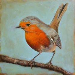 Peaceful Robin Perch