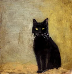 Pua Cat