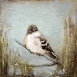 Quiet Bird on Branch