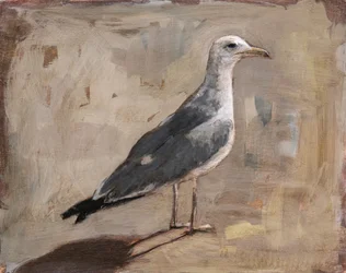 Standing Seagull Portrait
