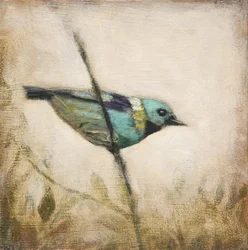 Vibrant Teal Bird