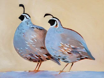 Charming Quail Pair