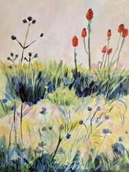 Colorful Summer Wildflowers