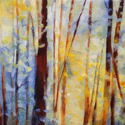Dreamy Forest Light