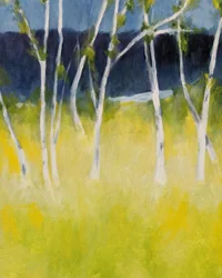 Serene Birch Meadow