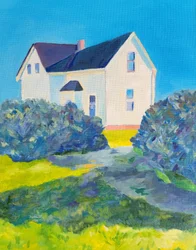 Sunny Country House