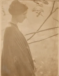 Sunlight, 1899, printed 1901