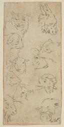 Study of Animal Heads, n.d.
