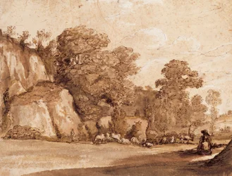 A Rocky Hillside