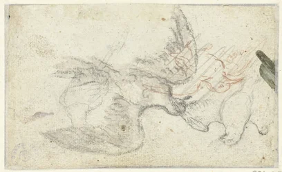 Three Sketches of a Bird
