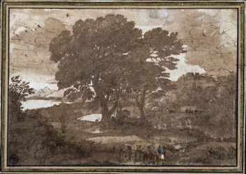 Landscape