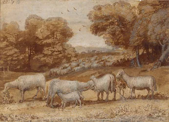 Landscape with Sheep