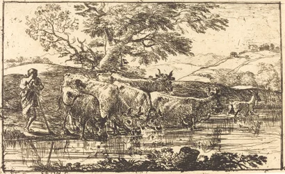 The Herd at the Watering Place