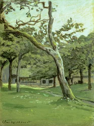 An Orchard
