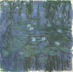 Blue Nympheas