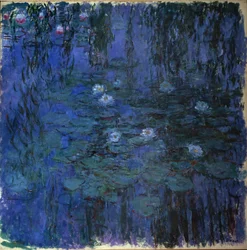 Blue Waterlily