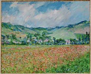 Field of Poppies