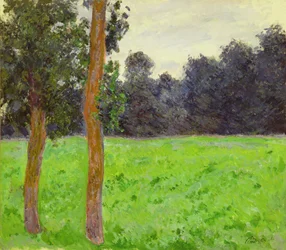 Two Trees in the Meadow